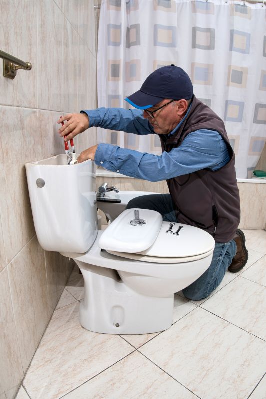 Toilet Repairs